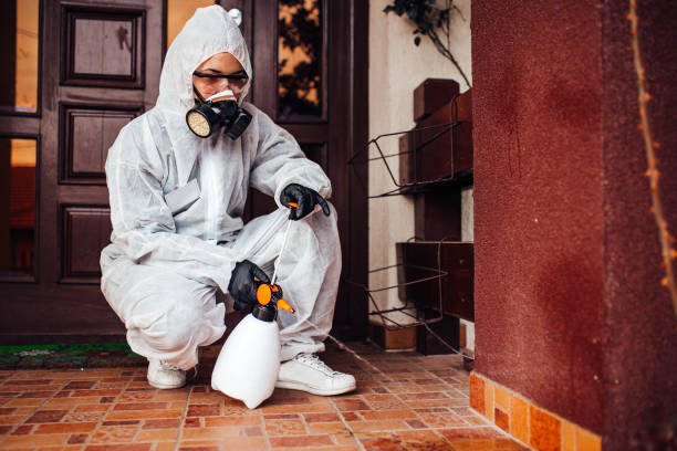 Reliable Ant Control contractor in Columbus, TX by Show Me Pest Control